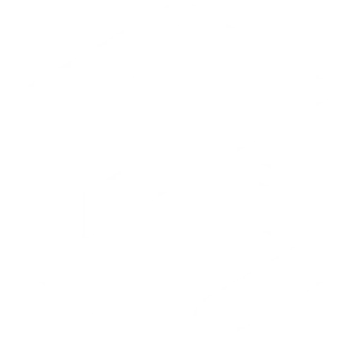GX team logo