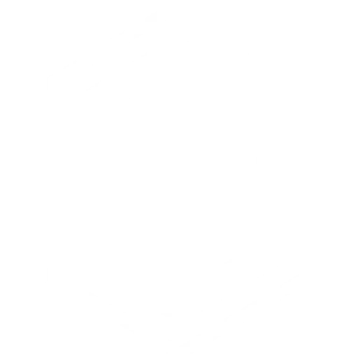 OG team logo