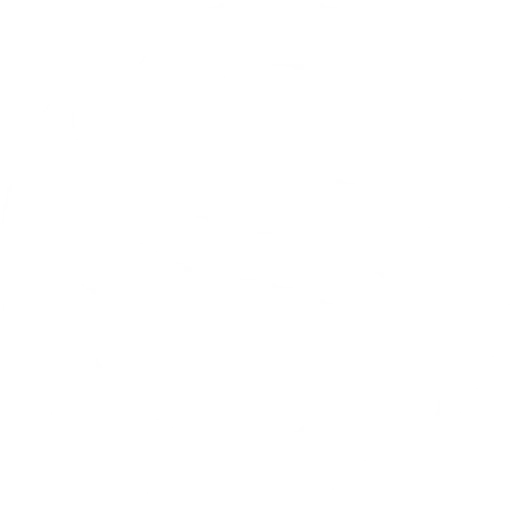 SLY team logo