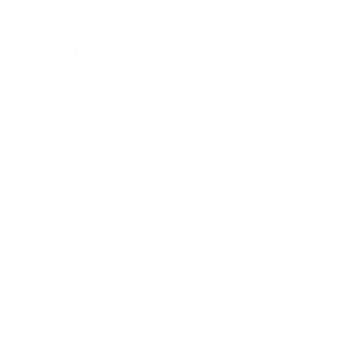 TH team logo