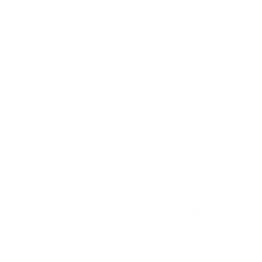 VIT team logo